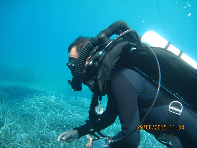 Technical Rebreather Diver (TRD)